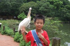 2010夏日學校校外教學-綠世界